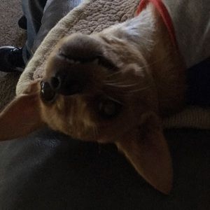 Meet your Posher, Pamela